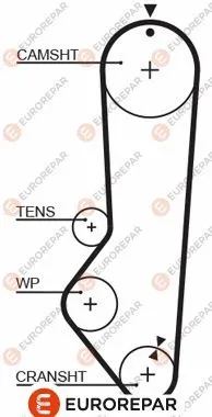 Timing Belt (1633135980)