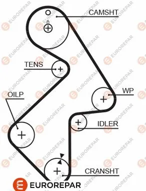 Timing Belt (1633139980)