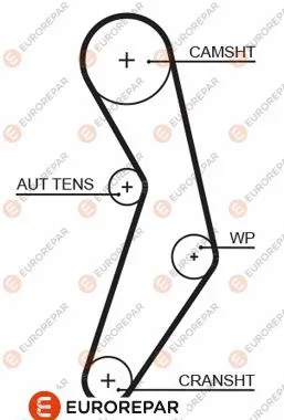 Timing Belt (1633130580)
