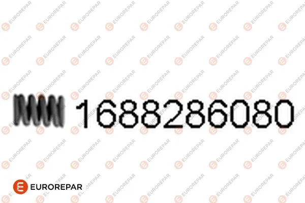 Spring, exhaust pipe (1688286080)