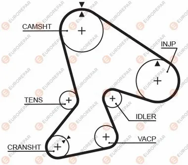 Timing Belt (1633139680)