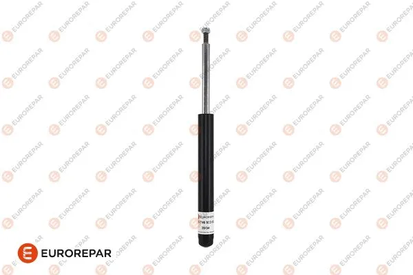 Shock Absorber (1674693380)