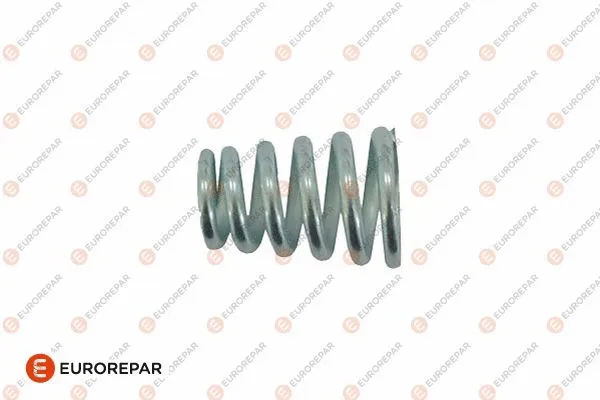 Spring, exhaust pipe (E128E41)