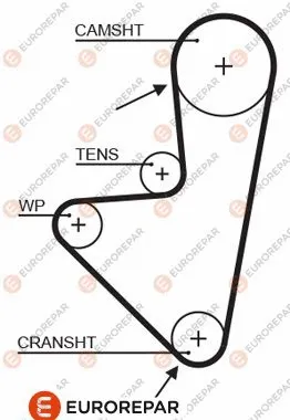 Timing Belt (1633127380)
