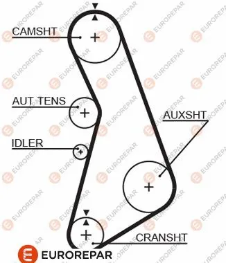 Timing Belt (1633129780)