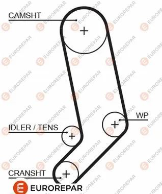 Timing Belt (1633133880)