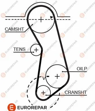 Timing Belt (1633136980)