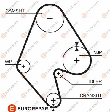 Timing Belt (1633138080)