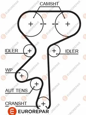 Timing Belt (1633138980)