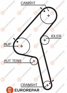 Timing Belt (1633143580)