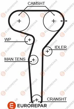 Timing Belt (1633134380)