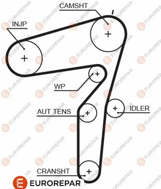 Timing Belt (1633135080)