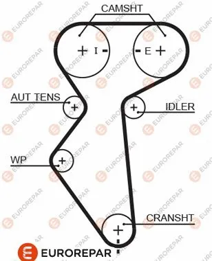 Timing Belt (1633132580)
