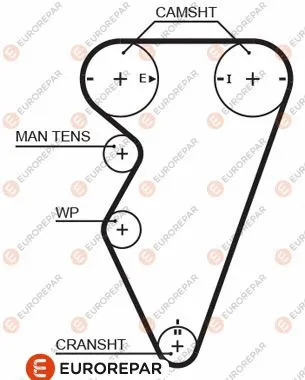 Timing Belt (1633137980)