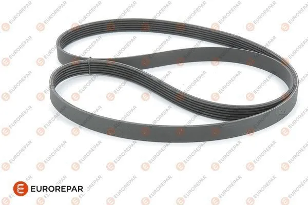 V-Ribbed Belt (1611127780)