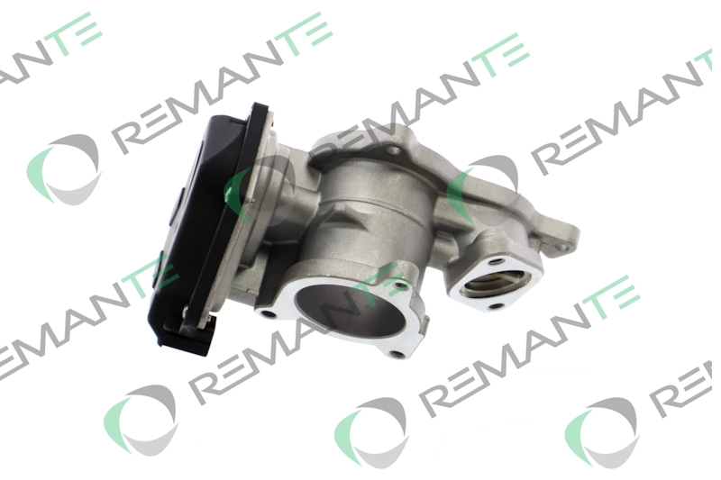 EGR Module (010-001-000070R)