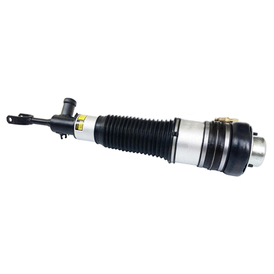 Air Suspension Strut (6162311)
