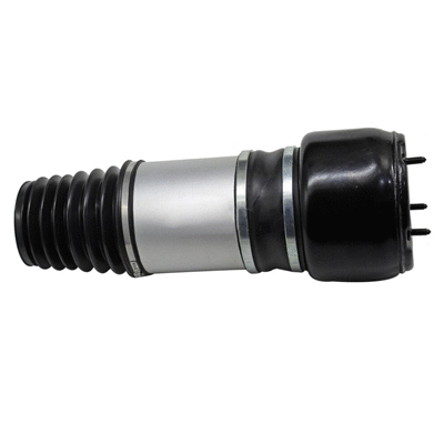 Air Spring, suspension (6410930)