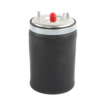 Air Spring, suspension (6510361)