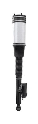 Air Suspension Strut (6160100)