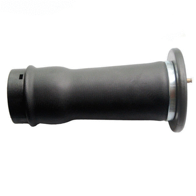 Air Spring, suspension (6510210)