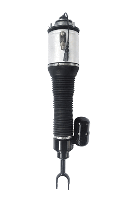 Air Suspension Strut (6160492)