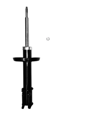 Shock Absorber (8250075)