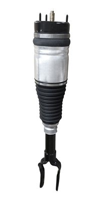 Air Suspension Strut (6150912)