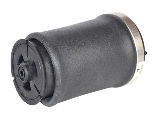 Air Spring, suspension (6510061)