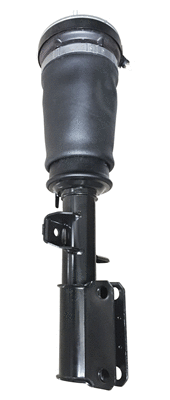 Air Suspension Strut (6150872)