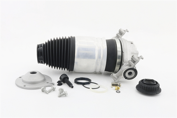 Air Spring, suspension (6410682)