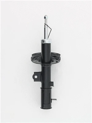 Shock Absorber (8251877)