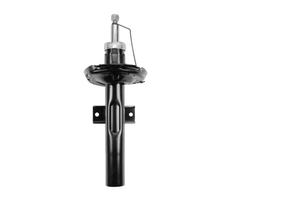 Shock Absorber (9264173)