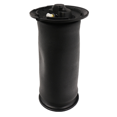 Air Spring, suspension (6510080)