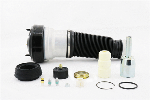 Air Spring, suspension (6410090)