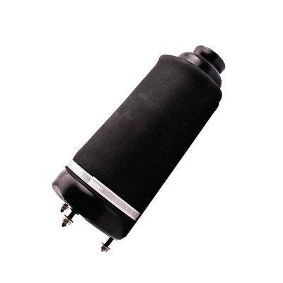 Air Spring, suspension (6410250)