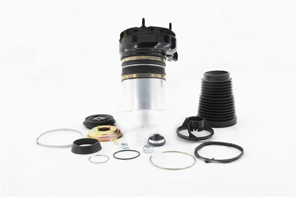 Air Spring, suspension (6410450)