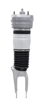 Air Suspension Strut (6160272)
