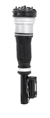 Air Suspension Strut (6160090)
