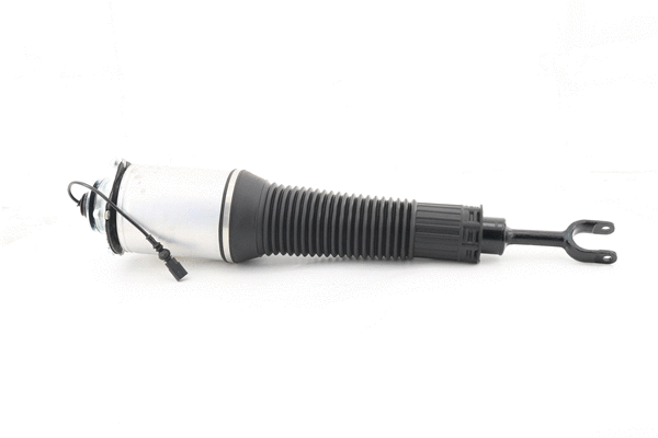 Air Suspension Strut (6160191)