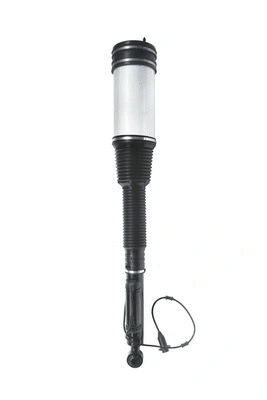 Air Suspension Strut
