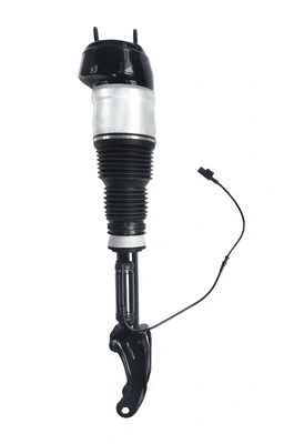 Air Suspension Strut (6160231)