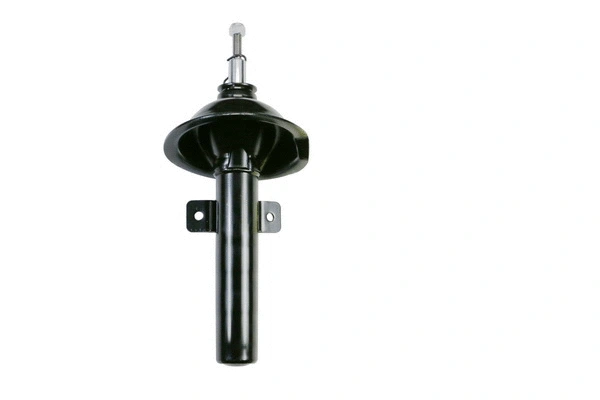Shock Absorber (9260753)