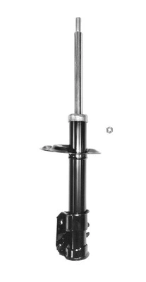 Shock Absorber (8250713)