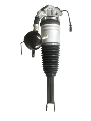 Air Suspension Strut (6160202)