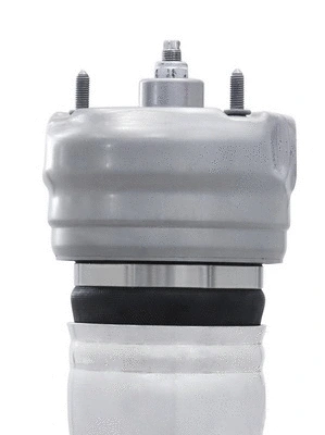 Air Suspension Strut