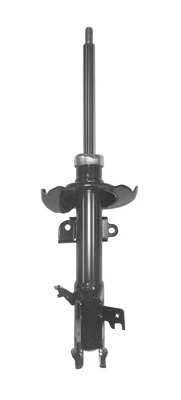 Shock Absorber (9250685)