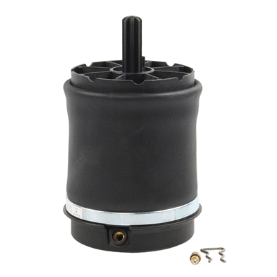 Air Spring, suspension (6510220)