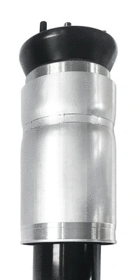 Air Suspension Strut