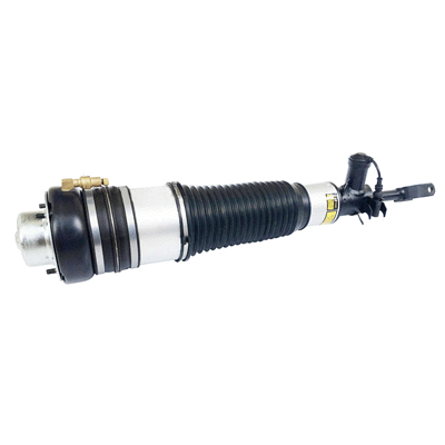 Air Suspension Strut (6162312)